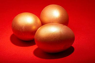 《奥日》主创大赞《流放之路2》：做到了暴雪做不到的事情